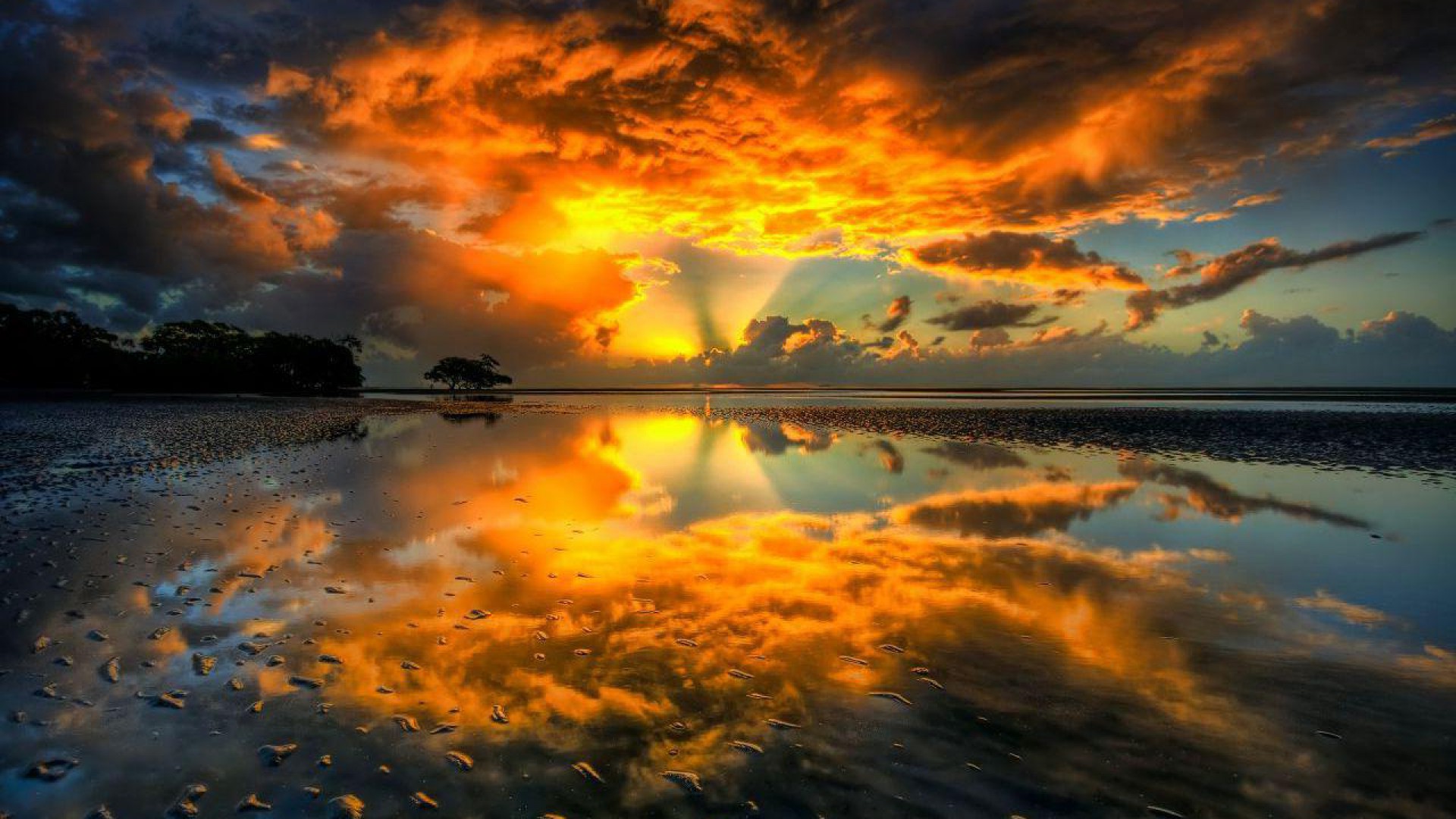 Imagenes Y Wallpapers
