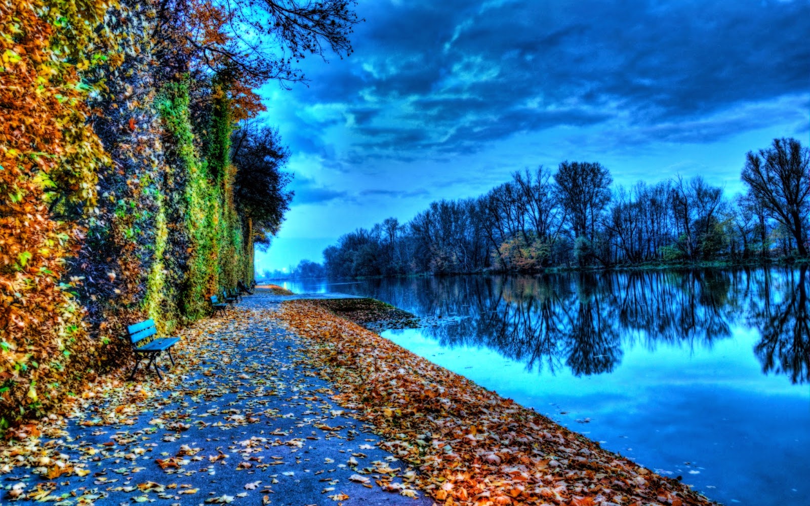 wallpaper wallpaper wallpaper - wallpapers