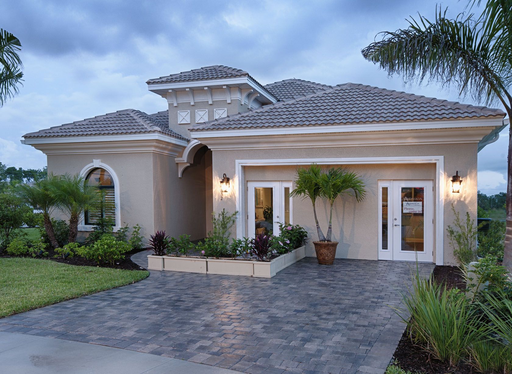 Modern Bungalow House with Palm Trees
