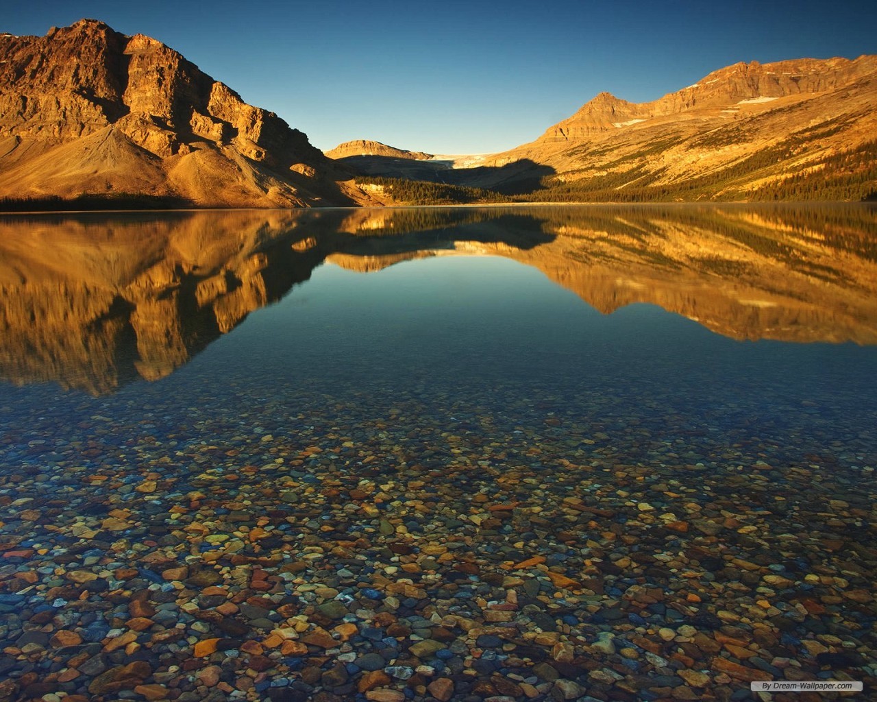 Free Wallpapers 1280x1024 - WallpaperSafari