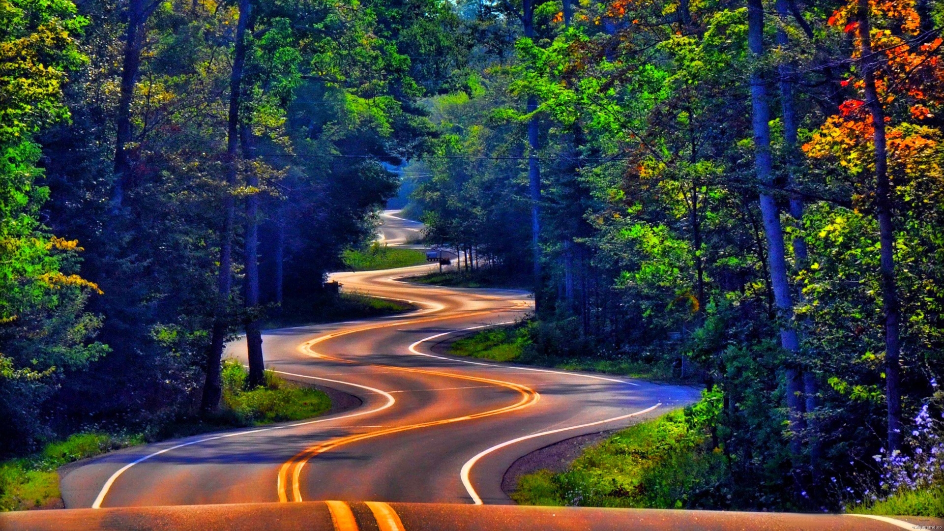 HD Wallpapers Only - WallpaperSafari