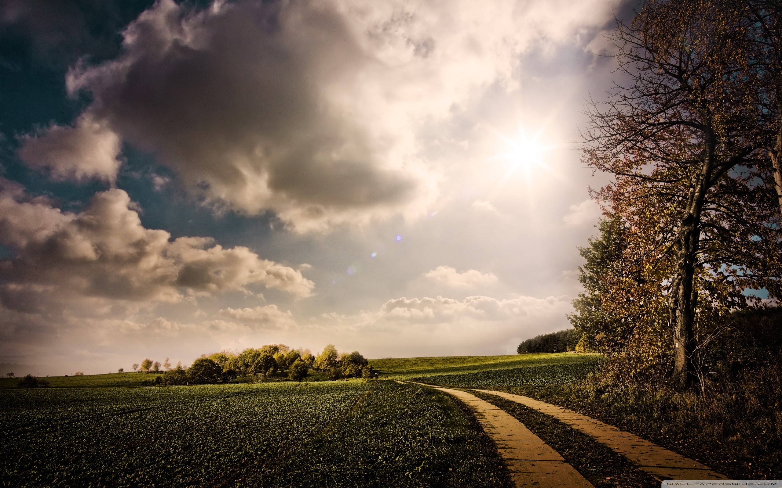 HD Wallpapers 2560x1600 (65+ images)