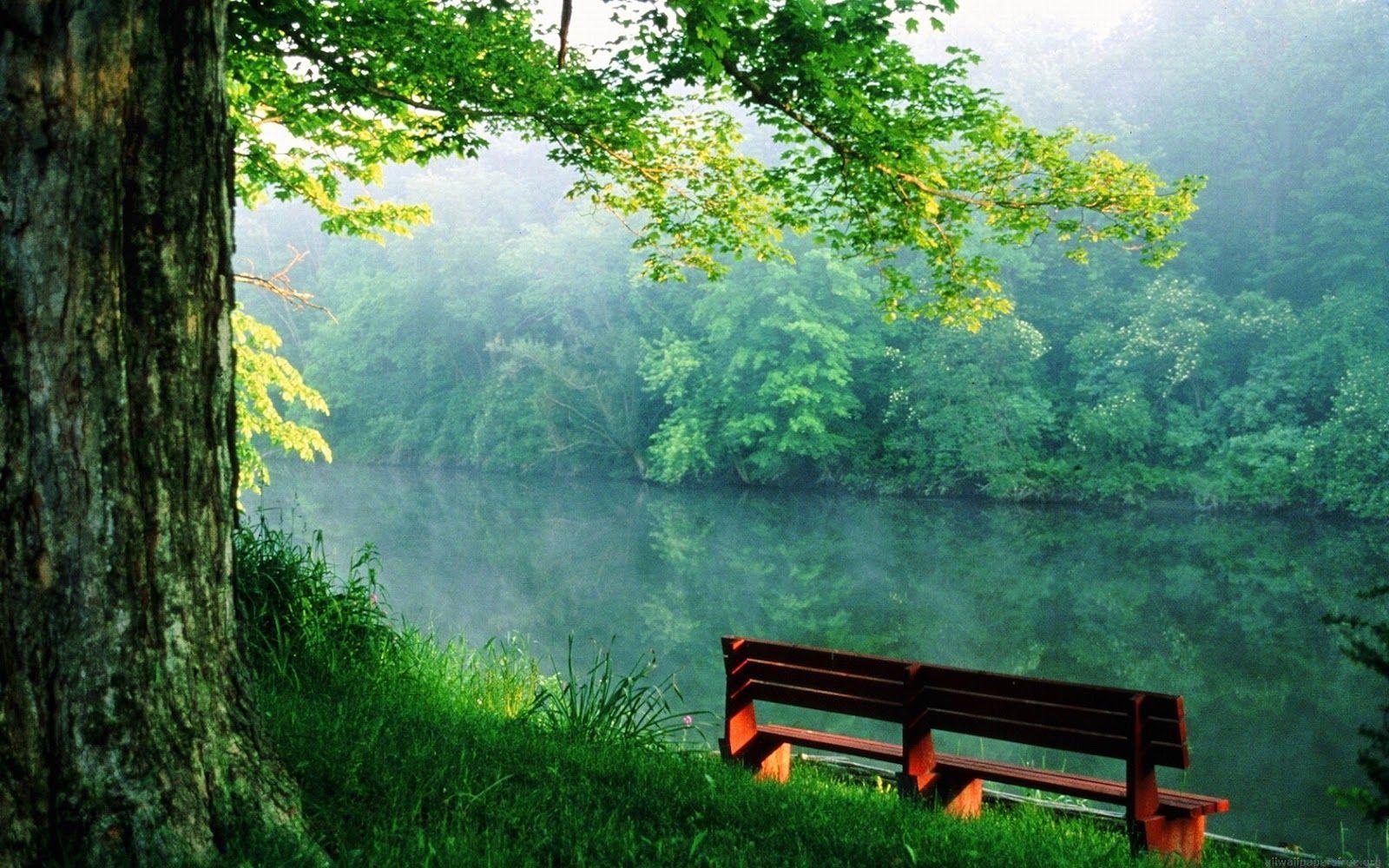 Full HD Nature Wallpapers - Wallpaper Cave