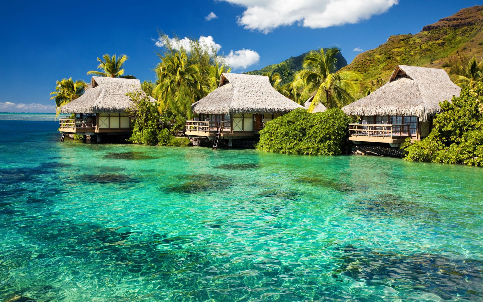 Imagenes Para Wallpaper Gratis - WallpaperSafari