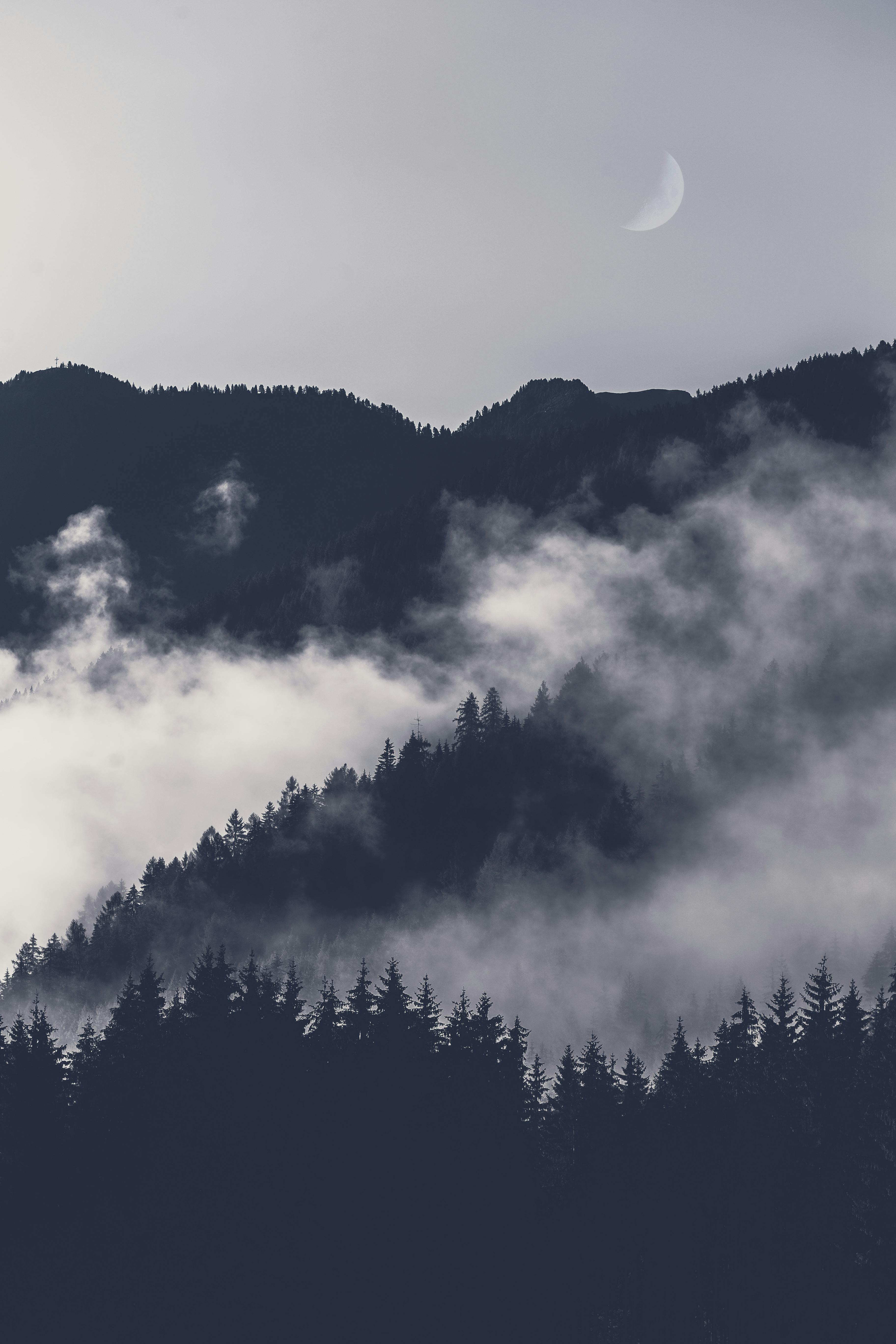 HD Wallpapers · Pexels