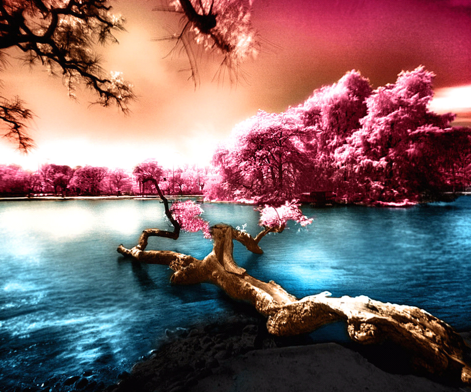 Best Wallpapers For Tablets Group (62+)