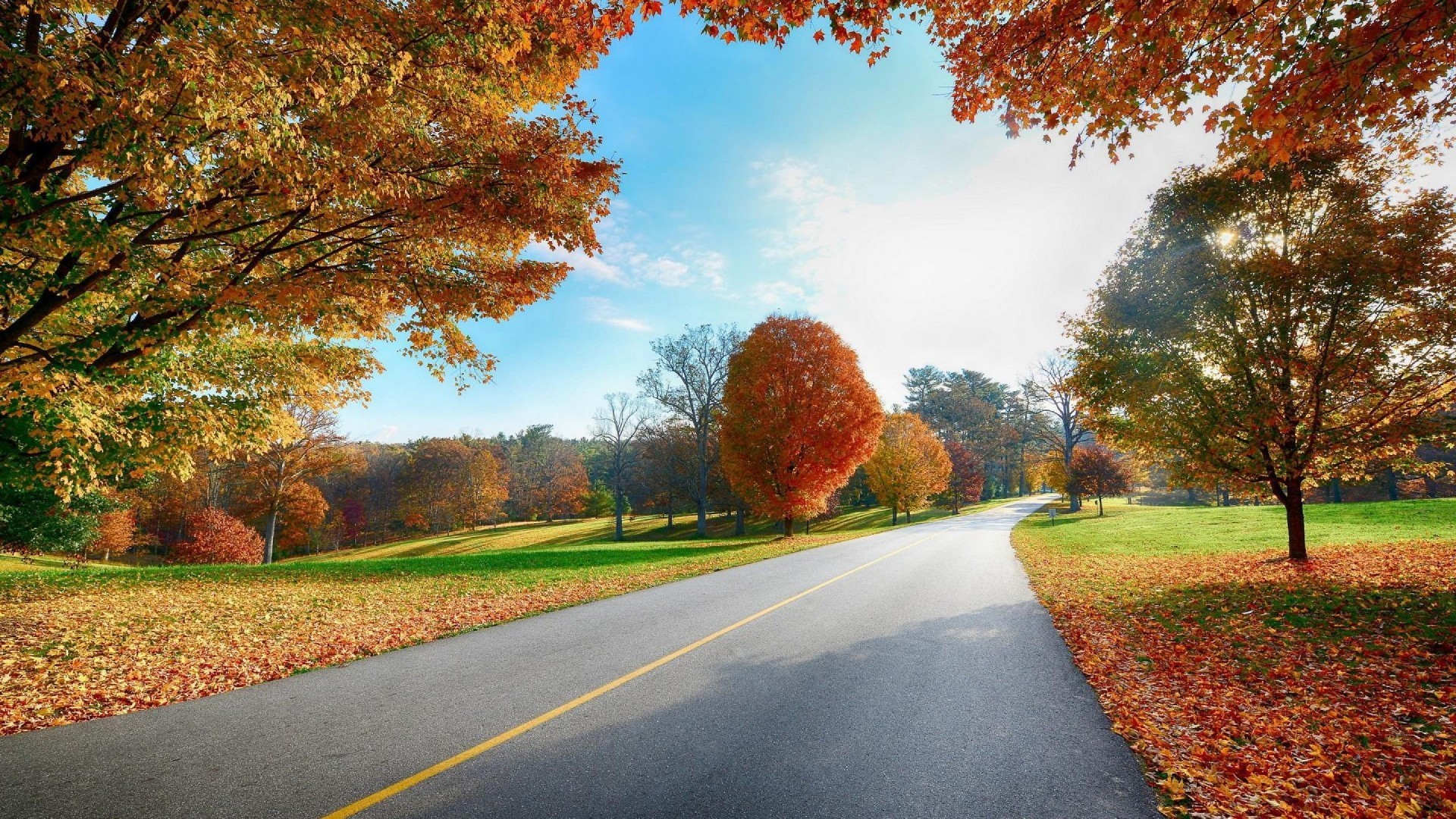 1080p HD Image Nature Free Download
