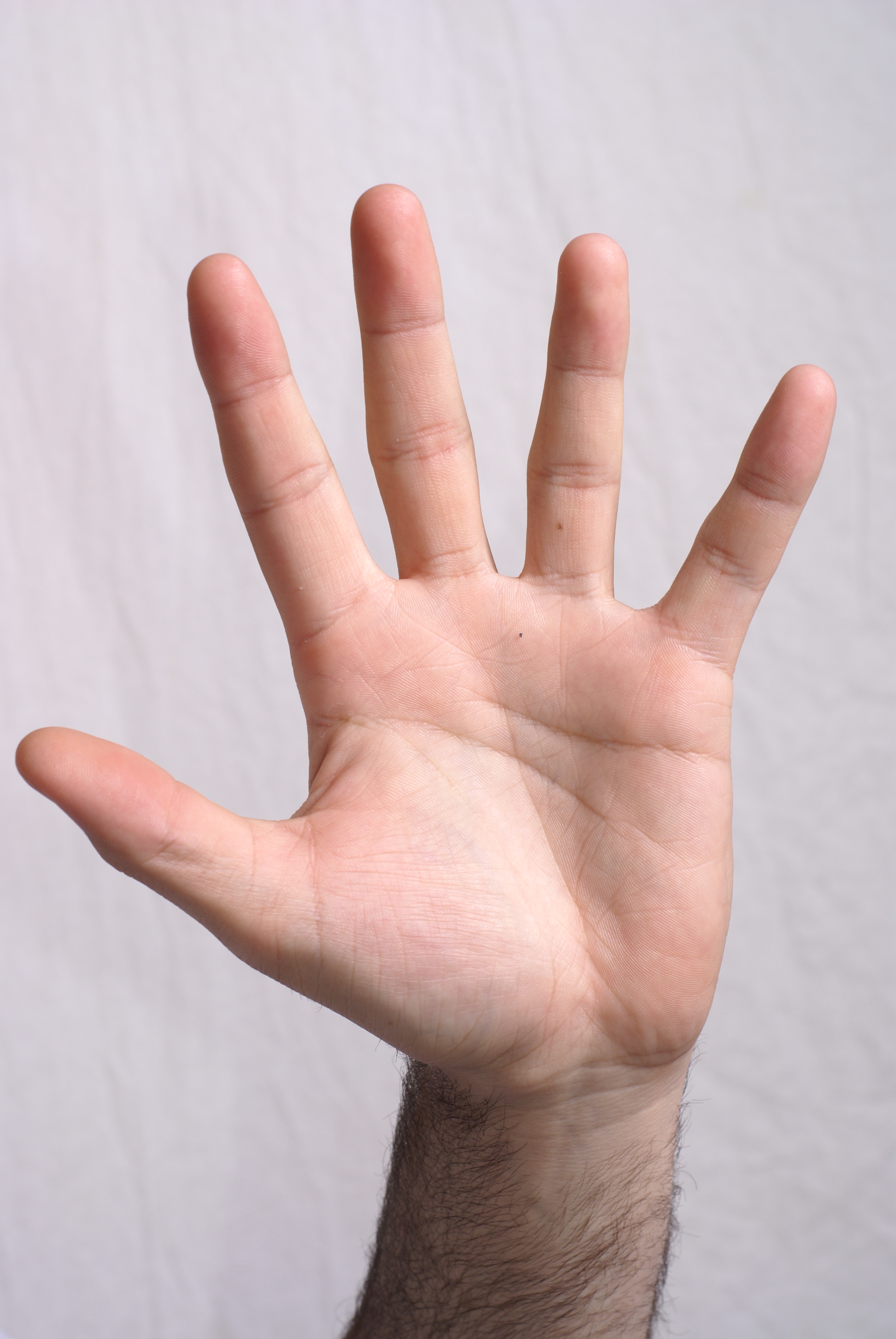 Official Pics of Hector's gf or GTFO Thread | IGN Boards